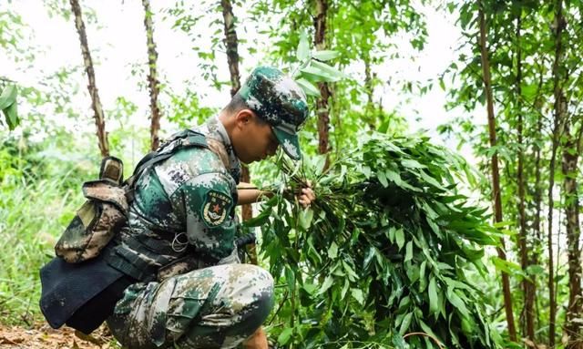 钻木取火、挖野菜……这样的野战生存你见过多少？