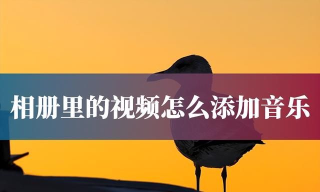 相册里的视频怎么添加音乐？这种方法值得尝试