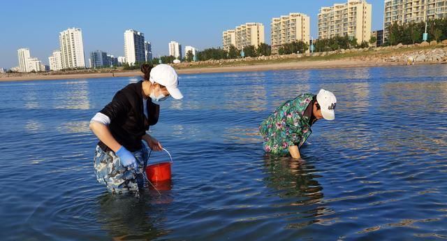 夏季，遇见它别手软，营养极高，多囤点放冰箱冻起来，鲜美又解馋