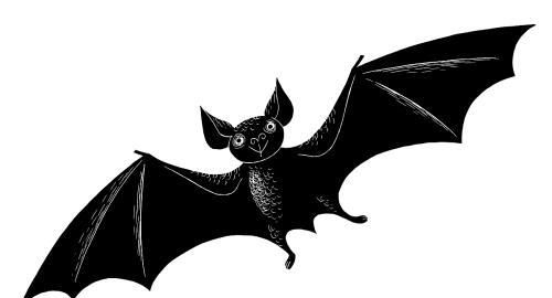 吉祥图之“蝙蝠”的寓意和象征
