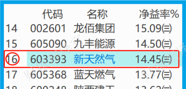 天然气板块净利率排名第1,市占率超10%,利润率55%,科威特政府入股