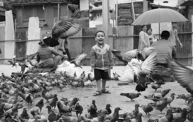 梁朝伟生活休闲体，来加德满都杜巴广场喂鸽子