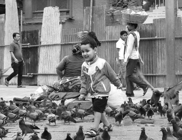 梁朝伟生活休闲体，来加德满都杜巴广场喂鸽子