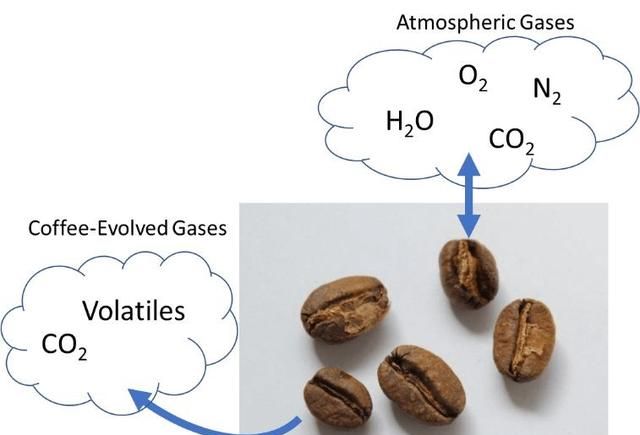 关于咖啡的保质期和变质期