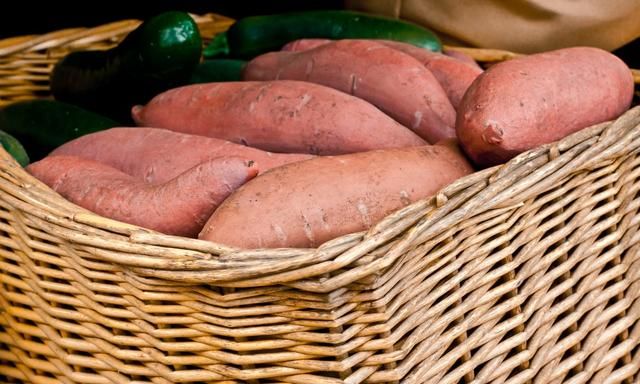 农民从香港超市选择红薯栽培，出现不发芽情况，如何处理？