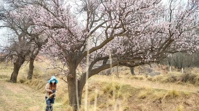 春暖花开，奔你而来