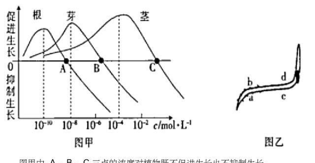 精选知识点精华版“高中生物”满分学习资料——必修三植物的激素