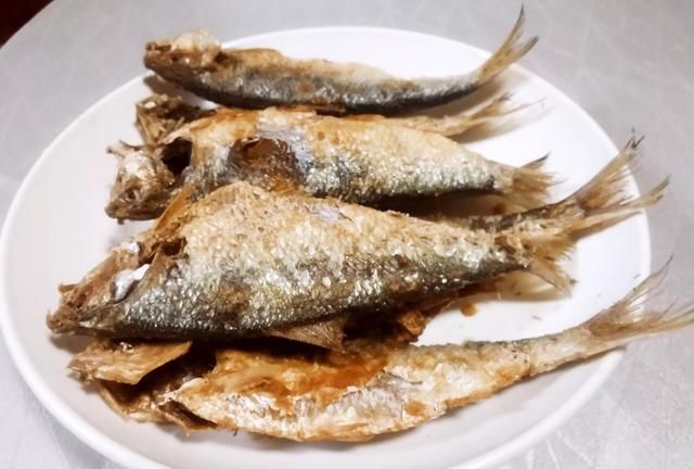 开海啦！海边这8种海鱼便宜又好吃，别忘了常给家人买来尝尝鲜