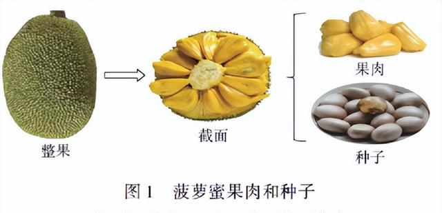 它是世界上最重的水果！没想到“核”居然也能吃