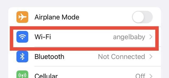 如何在 iPhone 上查找 Wi-Fi 密码？