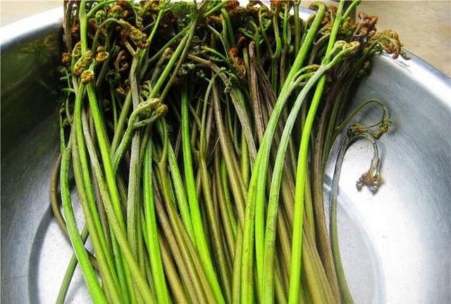 春天蕨菜怎么处理才好吃？收藏好每年都可用
