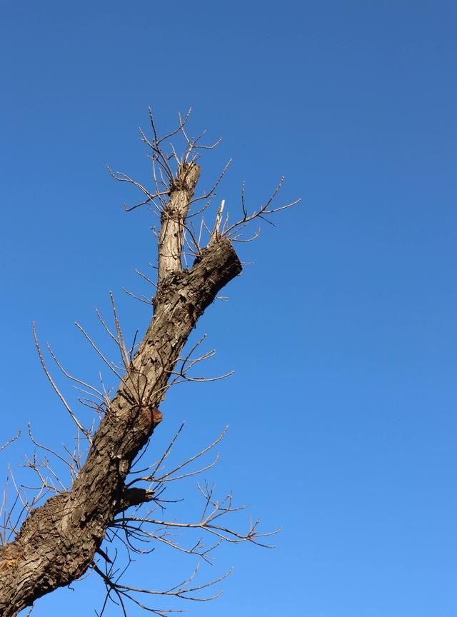 神秘！北京这个地方每月只开两天！就藏在后海边上