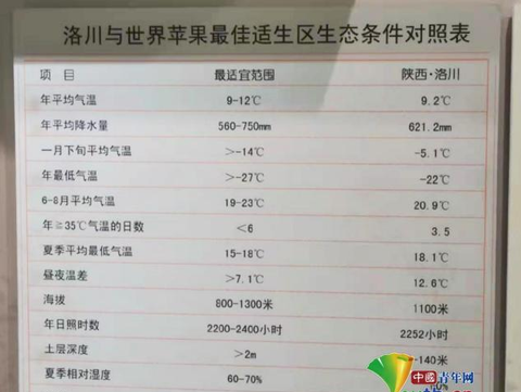 陕西洛川：一颗苹果演绎的富民强县故事