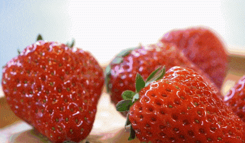 冬天的草莓，到底是不是「反季节水果」？