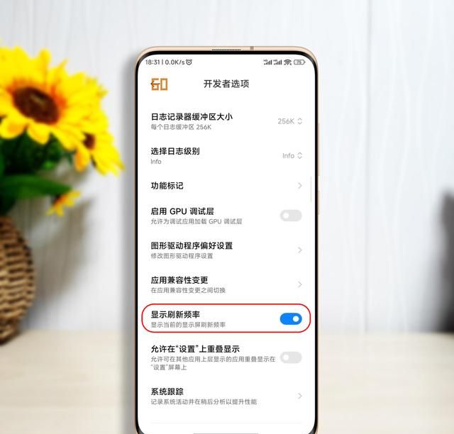 玩转MIUI13，小米手机开发者选项实用功能分享，总有你不会的