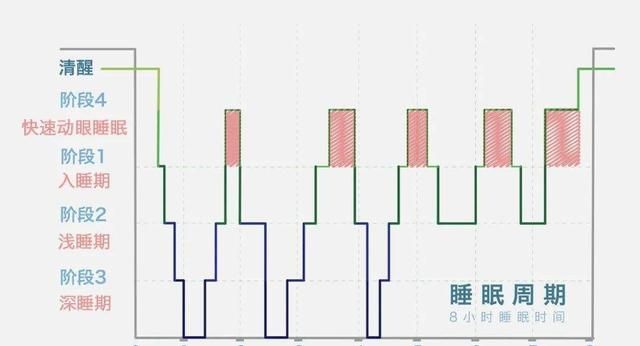 为什么人在睡觉的时候，会做乱七八糟的梦？原来和记忆有关