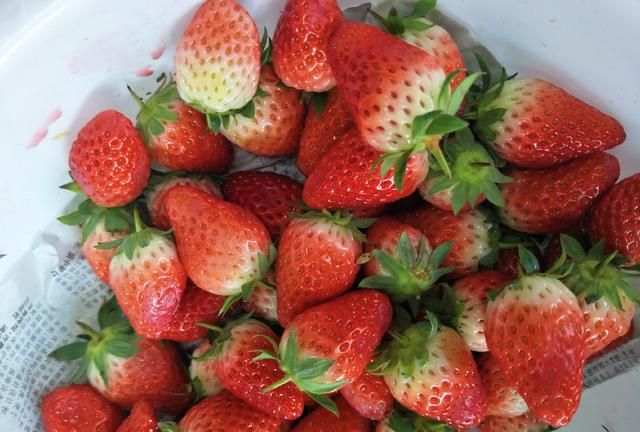草莓不洗可以直接吃吗？这才是草莓的正确吃法，清香可口味道好