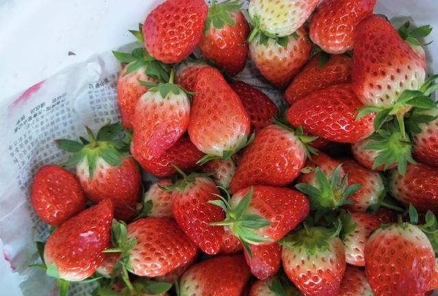 草莓不洗可以直接吃吗？这才是草莓的正确吃法，清香可口味道好