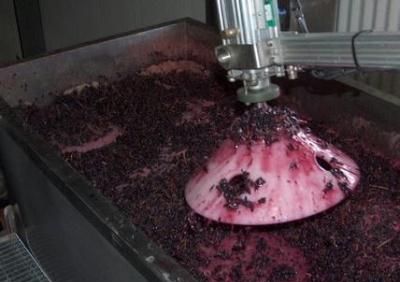 葡萄酒基础：酿造过程！
