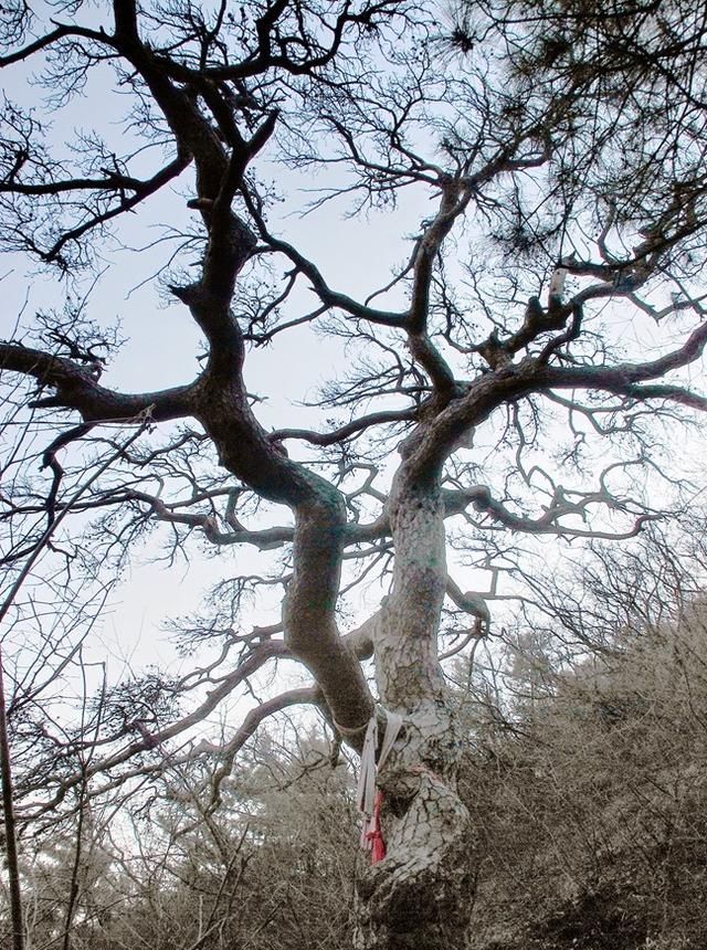 孟郊死葬北邙山、再生贾岛向人间——寻贾岛峪