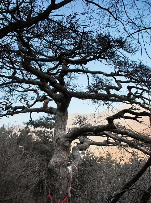 孟郊死葬北邙山、再生贾岛向人间——寻贾岛峪