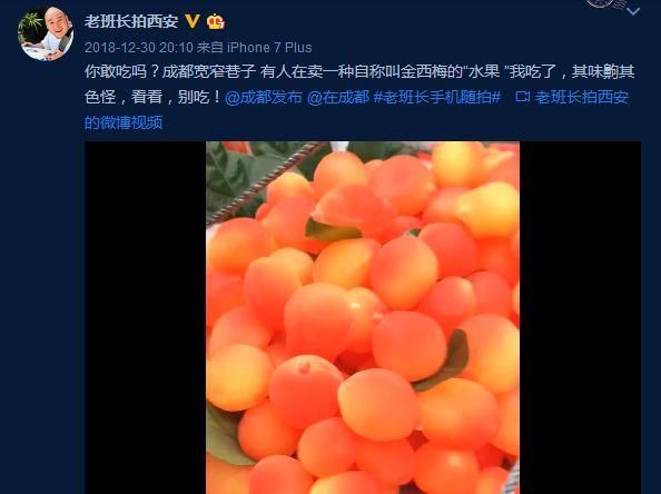 成都街头现网红水果金西梅，专家称其并不新鲜！网友：骗子水果，又贵又难吃！