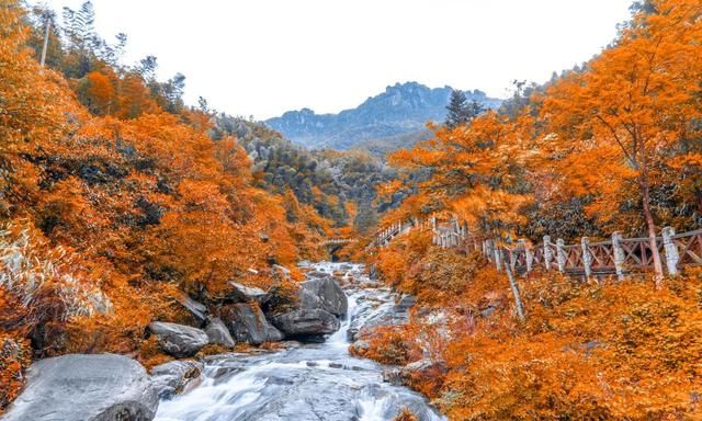 江西AAAAA级旅游景区欣赏（四）