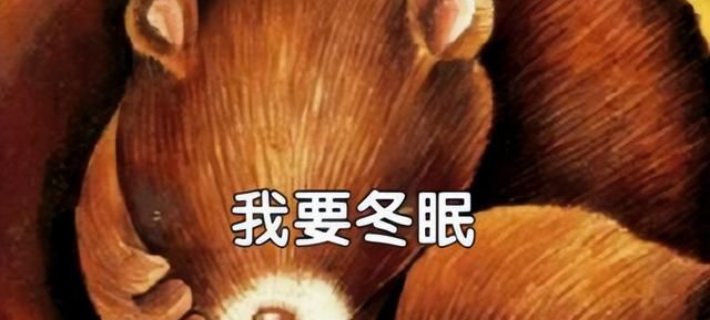 熊为什么要冬眠？冬眠的熊会不会被其他动物吃掉？