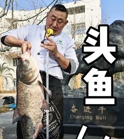 馋哭！上海一大学校内捕1500斤鱼，请大家免费吃
