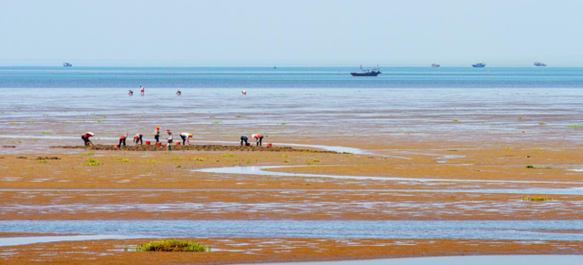 世界海洋日 | 带你去看潍坊的海