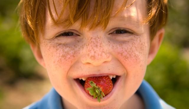 草莓控必看：盘点各种美味的草莓，看看你吃过几种了