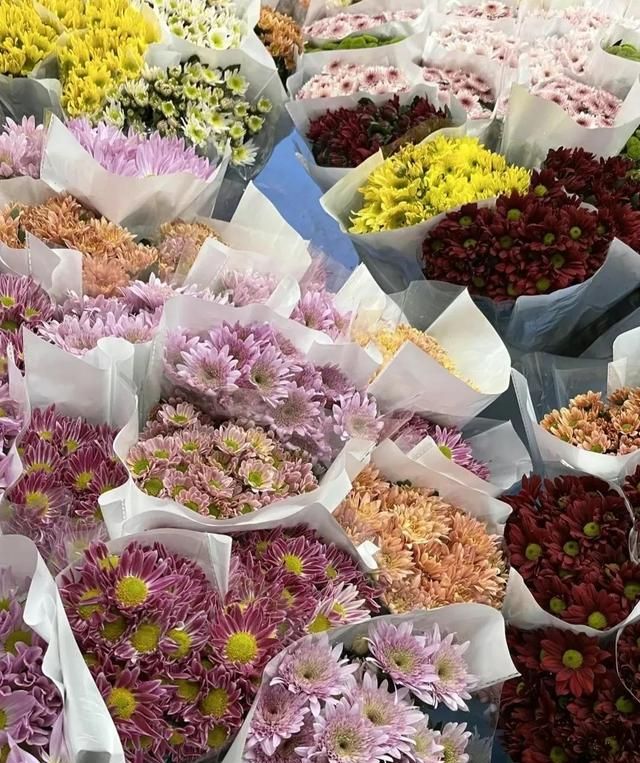亚洲最大的花卉交易市场——昆明斗南