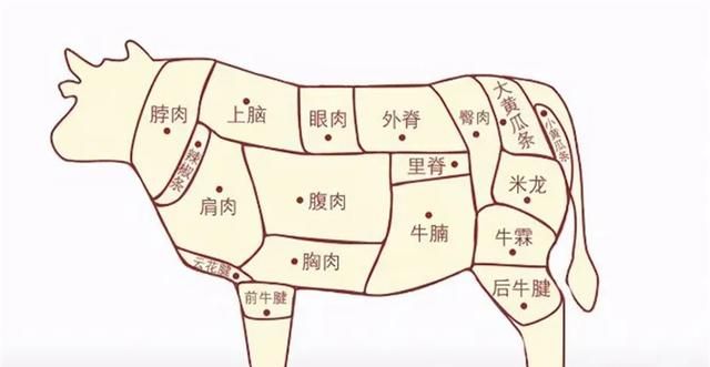 买牛肉时，只要认准这“3”点，肉贩子：一看就是内行人