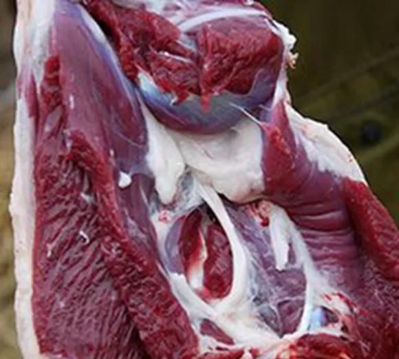 买羊肉，一定认清“前腿肉”和“后腿肉”，差别很大，不然吃大亏