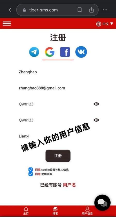 台湾谷歌账号注册失败如何解决，成功注册的方法
