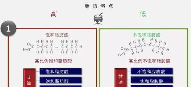 炖完的排骨汤放凉后，漂在上面的一层白油全是脂肪吗？