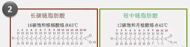 炖完的排骨汤放凉后，漂在上面的一层白油全是脂肪吗？