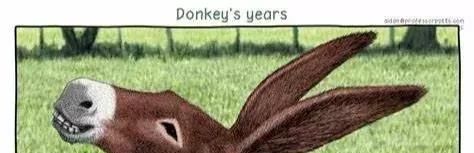 我懵了！Donkey’s year到底是哪一年？