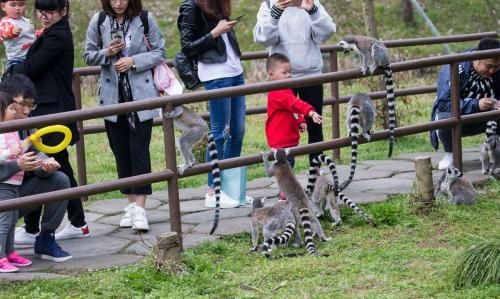 你的孩子在动物园见到的动物，是真实的它们吗