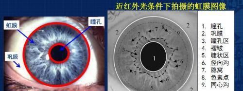 各手机品牌息屏解锁,超难的手机100种锁屏方法图12