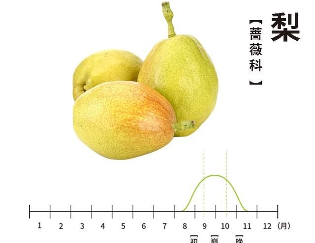 一口酥梨润三秋，谁才是你“梨”不开的最爱？