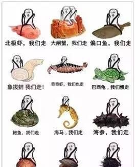 最近的皮皮虾是什么梗,皮皮虾年度热梗图7