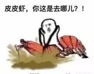 最近的皮皮虾是什么梗,皮皮虾年度热梗图22