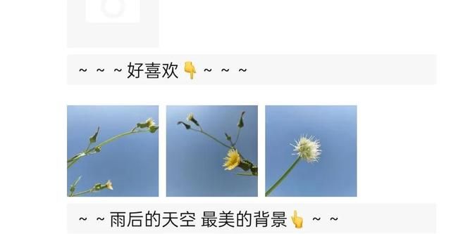 如何发朋友圈？这些细节和操作你都知道吗？