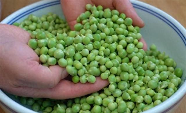 新鲜豌豆如何保存？教你几种简单方法，一年买一次就够了，真方便