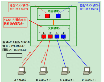 带菜鸟入门了解网络IP 、子网掩码 、路由器 、DNS知识