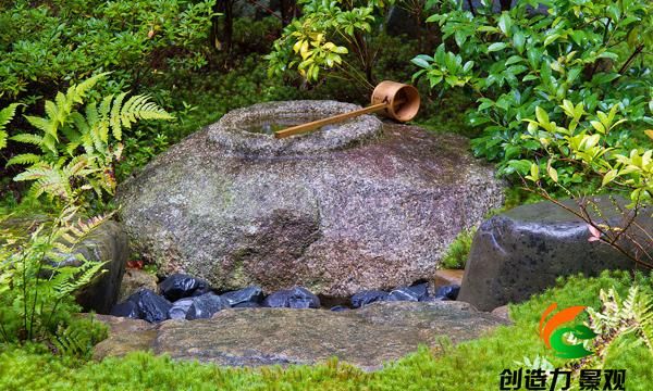 庭院里的苔藓，该如何栽植与养护？