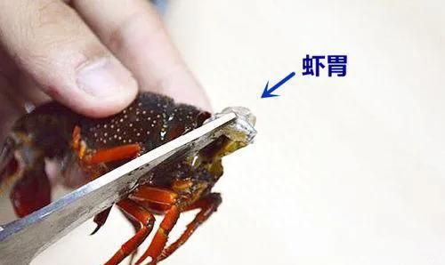 小龙虾的虾黄是虾屎和虾胃吗？到底能不能吃？主要取决于两点因素