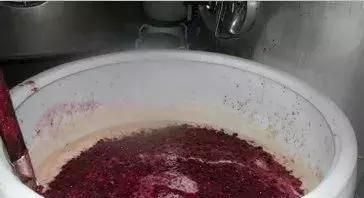 唐三镜林雅雪：酿酒技术-樱桃果酒的制作方法及注意事项