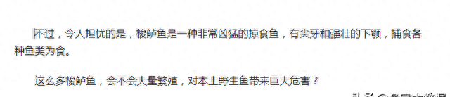 乌江水面浮现很多1米长的鱼，居然连钓鱼的人都没认出是什么鱼